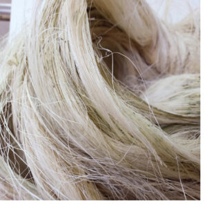 custom made natural raw sisal fiber for educational and technical projects ideal for resale