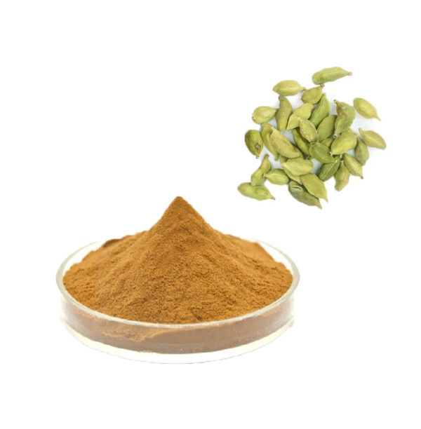 natural black cardamom seeds powder price supplier pure wholesale Cardamom