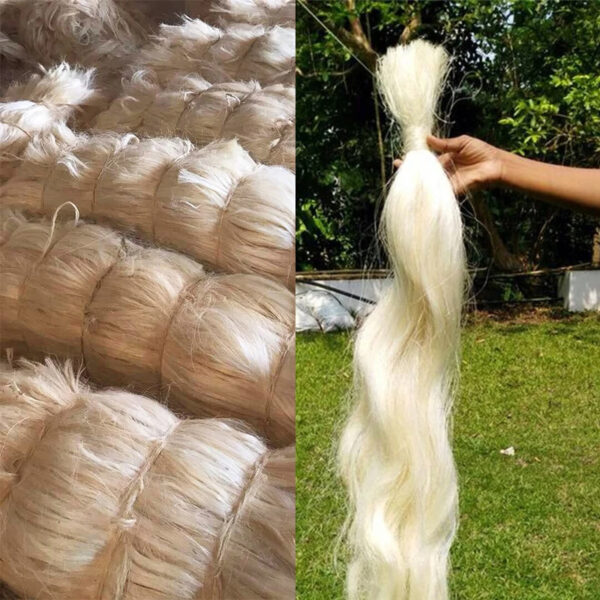 Raw Fiber UG SSUG Sisal Fiber We Can Supply from China & Brazil & Tanzania & Kenya & Masagascar & Mozambique