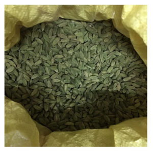 Wholesale Price 100% Natural Green Cardamom Green Cardamom 8 MM Jumbo Indian Elaichi Supplier From India