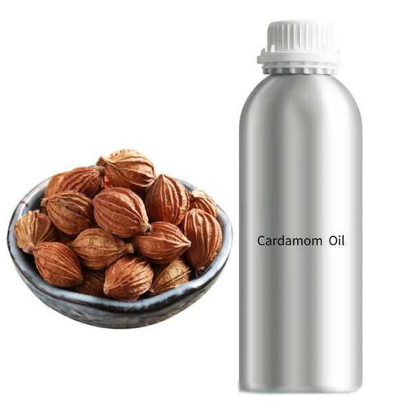 Wholesale Lowe Price Cardamom Essential Oil