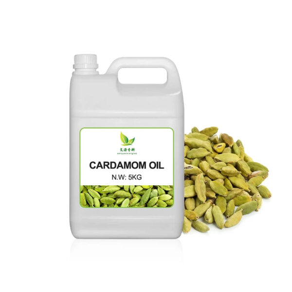 Factory Directly Supply 100% Pure Natural Organic Cardamom Essential Oil Top Quality Reasonable Price