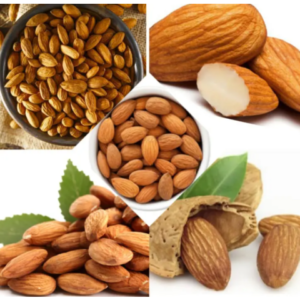 New Crop Raw Almonds Nuts delicious and healthy Raw Almonds Nuts Almond Best Quality