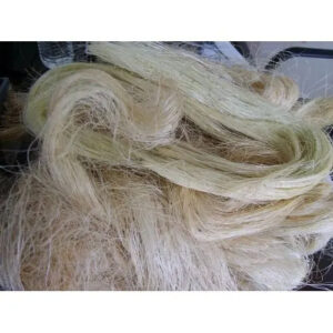 High Quality Cheap UG and SSUG Natural sisal fiber Ready for Export