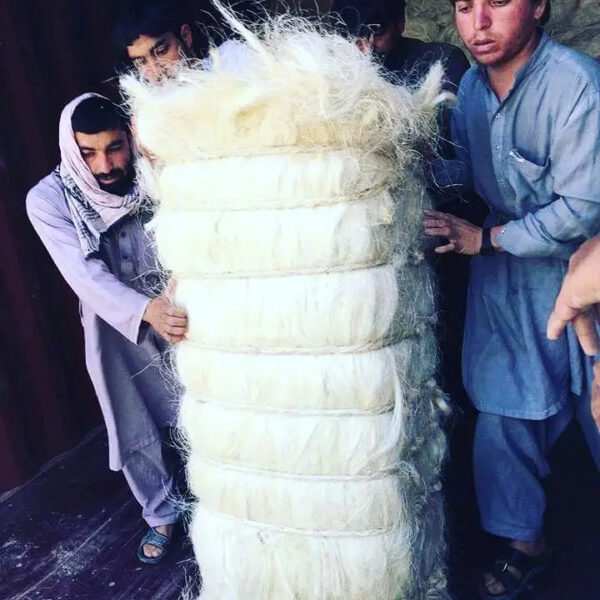 Export Quality UG and SSUG Natural sisal fiber