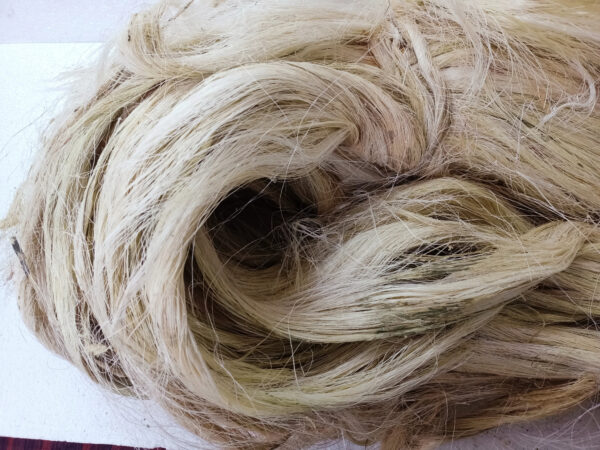 custom made natural raw sisal fiber for educational and technical projects ideal for resale - Image 2