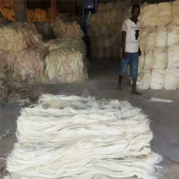 African UG Sisal Fiber Cream White 100kgs bale - Image 2