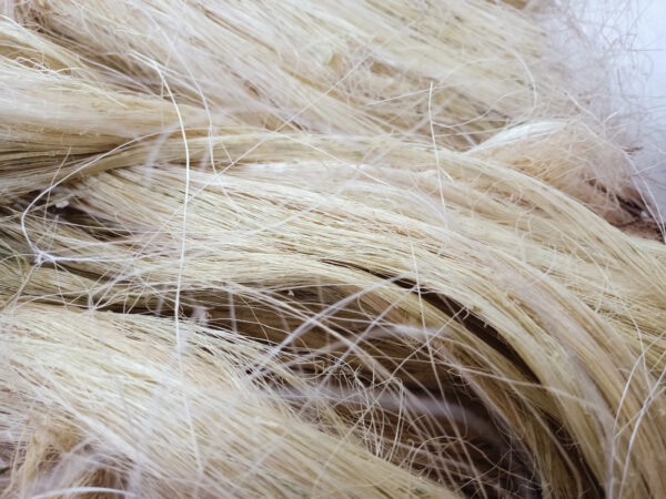 custom made natural raw sisal fiber for educational and technical projects ideal for resale - Image 3