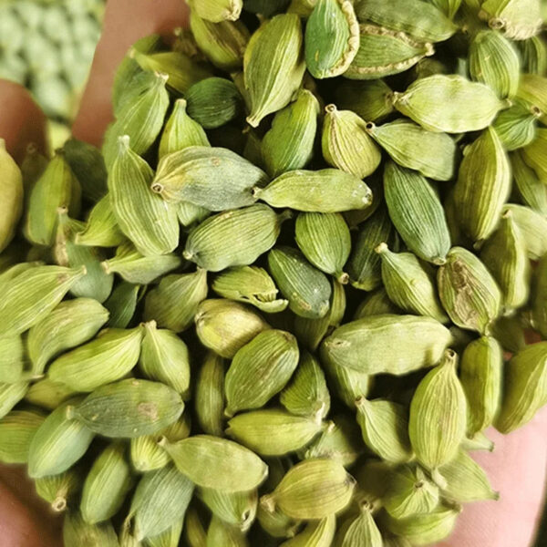 Factory supply Single spice wholesale price natural whole green cardamom - Image 3