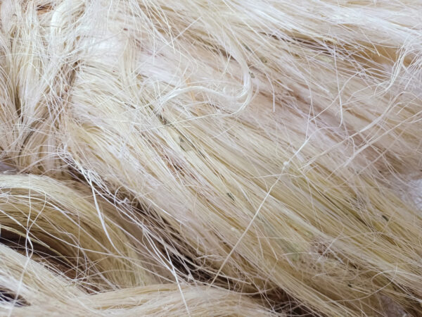 custom made natural raw sisal fiber for educational and technical projects ideal for resale - Image 4