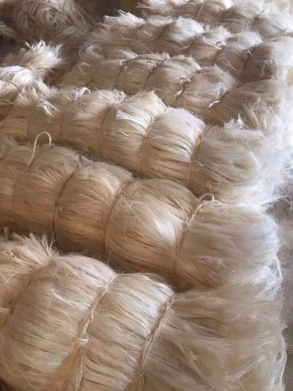 Raw Fiber UG SSUG Sisal Fiber We Can Supply from China & Brazil & Tanzania & Kenya & Madagascar & Mozambique - Image 4