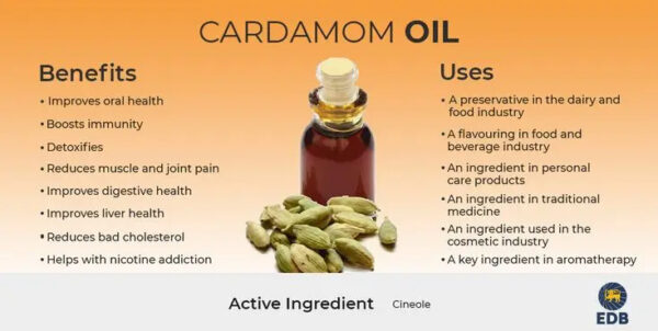 Wholesale Lowe Price Cardamom Essential Oil - Image 4