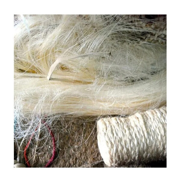 Wholesale Supplier of White 100% Natural quality sisal fiber  raw sisal fiber material Read To Exports - Image 4