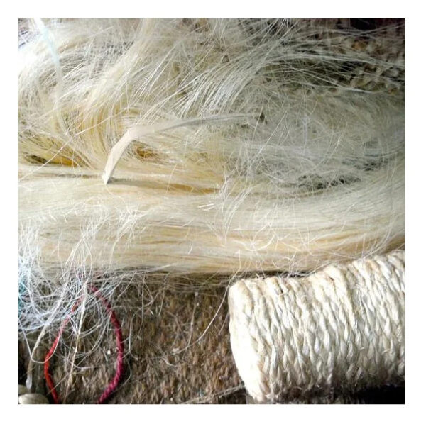 Sisal Fiber Bleached White 100% Percent Natural quality sisal fiber raw sisal fiber material - Image 4