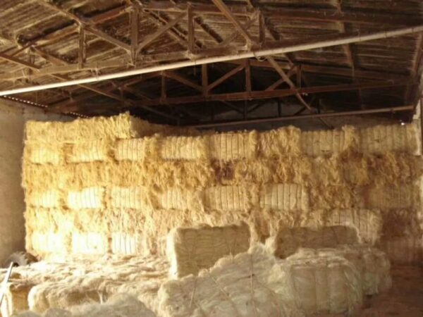 Raw Fiber UG SSUG Sisal Fiber We Can Supply from China & Brazil & Tanzania & Kenya & Madagascar & Mozambique - Image 5