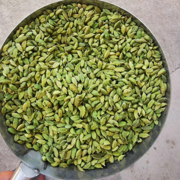 Single Herbs Wholesale Food Grade Guatemalan Green Cardamom For USA AD Spice Indonesia Cardamom Cinnamon - Image 5