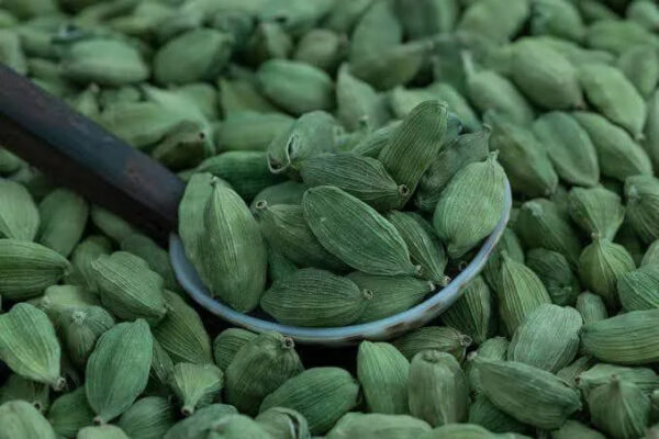 Hot Selling Wholesale Dried Green Cardamom - Image 5