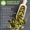 Wholesale Private Label Bulk Hari Elachi Green Big Real Cardamom 8mm Natural Loose High Quality Herbal Spice - Image 5