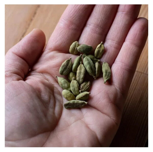 Hot Selling Price Of Green Cardamom in Bulk - Image 6