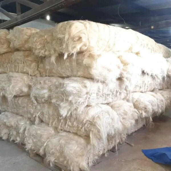 Sisal fiber - Image 5