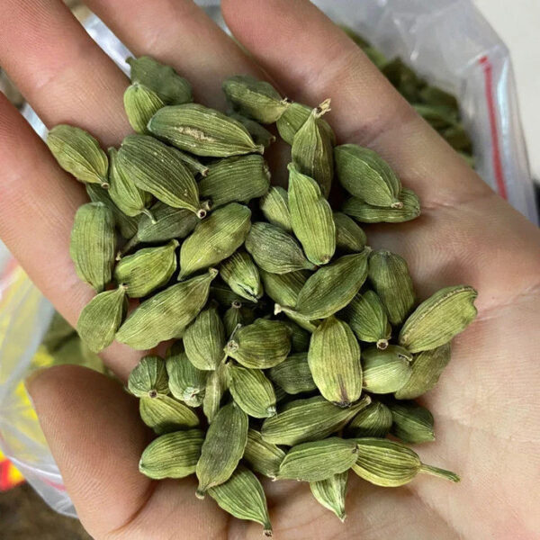 Single Herbs Wholesale Food Grade Guatemalan Green Cardamom For USA AD Spice Indonesia Cardamom Cinnamon - Image 6