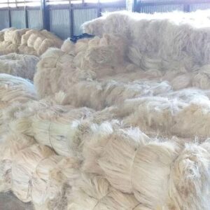 Natural Raw Sisal Fiber Sisal Fiber Rope For Sale