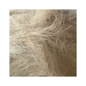 High Quality Sisal Fiber for sale