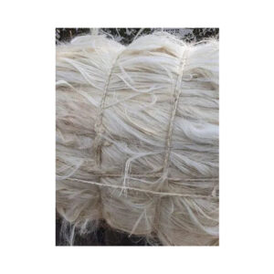 Sisal Fiber in Length 100 to 130cm for Gypsum Plaster Paper China Origin