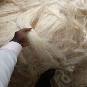 UG grade sisal fiber for Gypsum Boards plaster of Paris