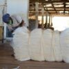 Exporters Premium Sisal Fiber 100% Natural Sisal Fiber WHOLESALE NATURAL SISAL FIBER Factory Price Sisal Fiber - Image 2