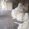 Denmark Manufacturer and Exporter of top quality UG Sisal Fiber with Shipping Available Worldwide Natural Sisal Fiber for sale - Image 3