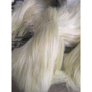 Sisal Fibre