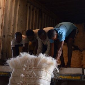 Best CIF Price UG Grade Sisal Fiber for sale