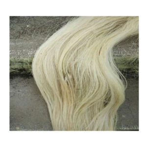 Wholesale Sisal Fiber for Gypsum Gypsum Hair for sale in bulk Textile Sisal kenya Sisal fiber for sale