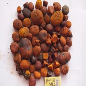 Cow ox gall stone / Buffalo Gallstone /Medicinal Gallstone Extract