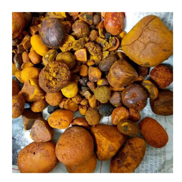 Natural Bezoar Gallstone Cow Bezoar Gallstones