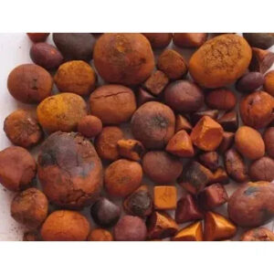 Wholesale Natural and Pure top Quality Ox Gallstones Cattle For Sale/Gallstones Cow Gallstones Buy Cow Gall Stones for sale