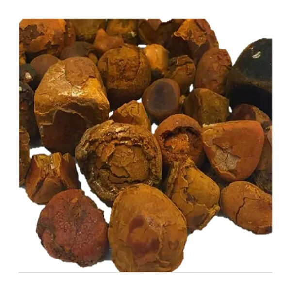 Quality Gallstones ox cow bezoar ox gallstones