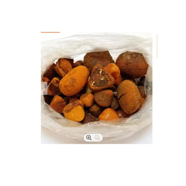 Block Sheep Packaging Color Pure Material Shelf Raw cattle gallstone ox gallstones and best quality cow bezoar for sale