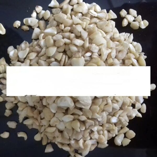 CASHEW NUT IN PIECE - HIGH QUALITY