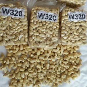 Low price GOOD High Quality Raw Cashew Nuts / Cashew Nuts / CASHEW NUT WHITE WHOLE W-240