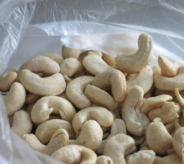 Good Quality wholesale Cashew Nuts Raw Bulk Cashews W320 Raw Cashew Nuts