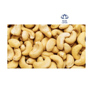 Cashew Nuts wholesale price