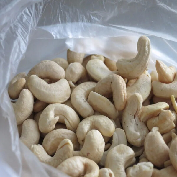 RAW CASHEW NUTS AND ROASTED AND SALTED CASHEW NUTS / CashewNuts (W240 W320 W450)