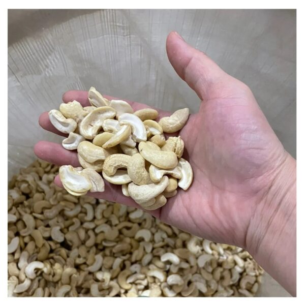 High Quality Cashews nuts Competitive Price & High dried CASHEW NUT W240 Cashew Nut from Vietnam