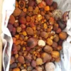 Ox And Cow Gallstones for good price - Image 8