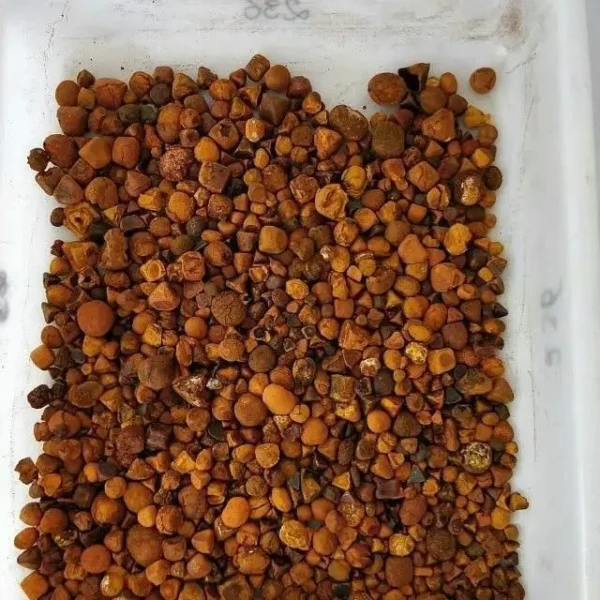 Top Sale Ox Gallstones Cattle Gallstones Cow Gallstones - Image 4