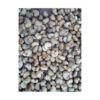 Cheap Price Kernel Organic Quality Cashews Nut Supplier Offers Benin Raw Cashew Nuts In Shell - Image 2