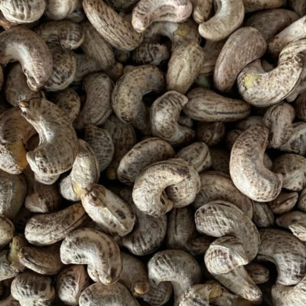 Viet Nam Roasted cashews nut with salt Good price OEM brand cashew vacuum 5kg Grade W180 W320 W450 delivery fast - Image 2