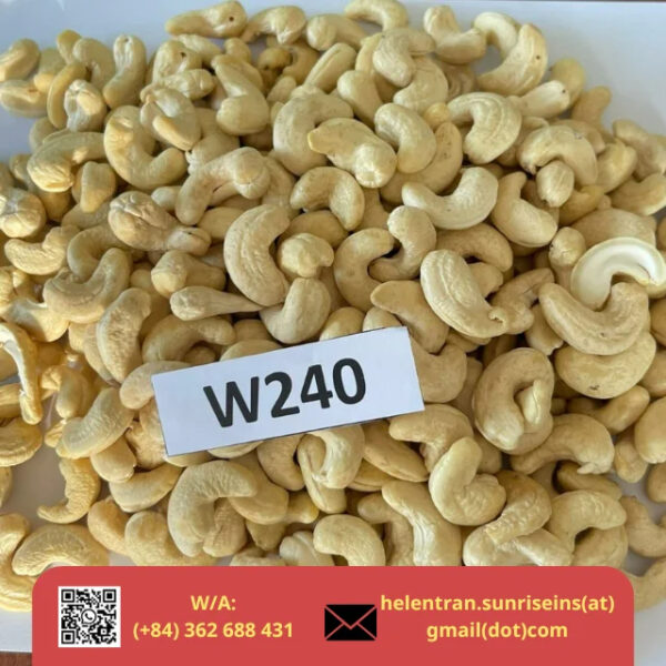 Cashew Nut SP/LP/W180/W240/W320 Origin Vietnam Custom Package - Image 2